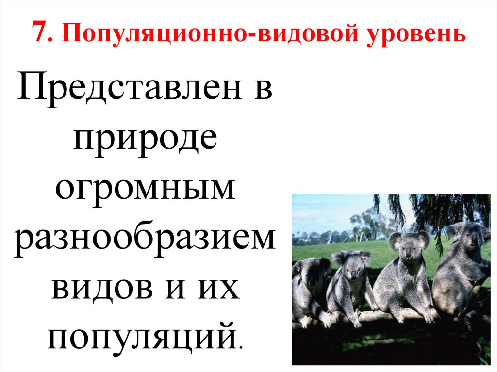 7. Популяционно-видовой уровень
