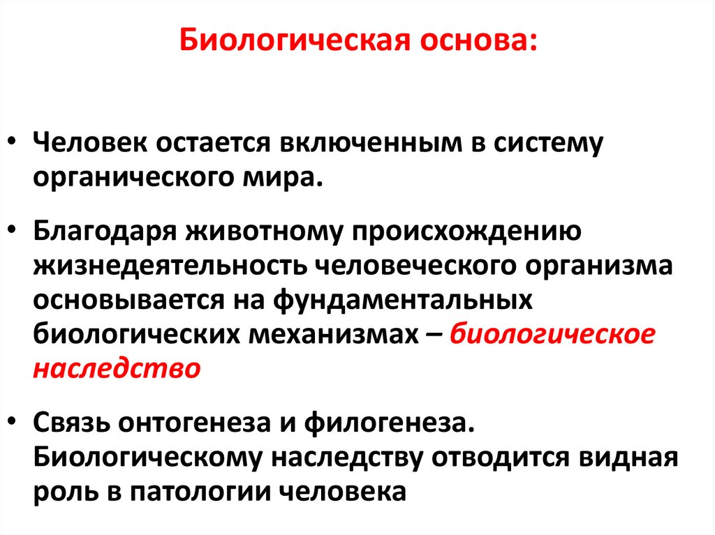 Биологическая основа: