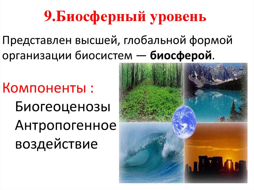 9.Биосферный уровень
