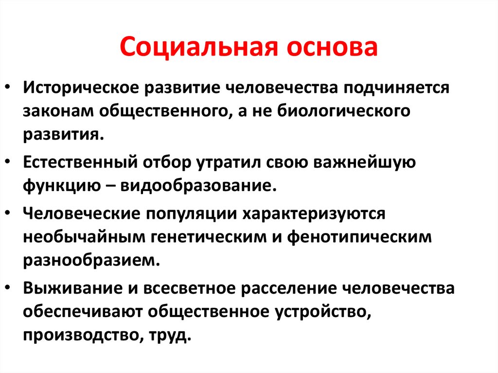 Социальная основа