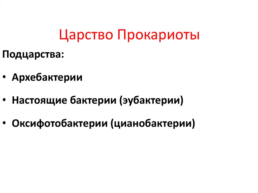 Царство Прокариоты