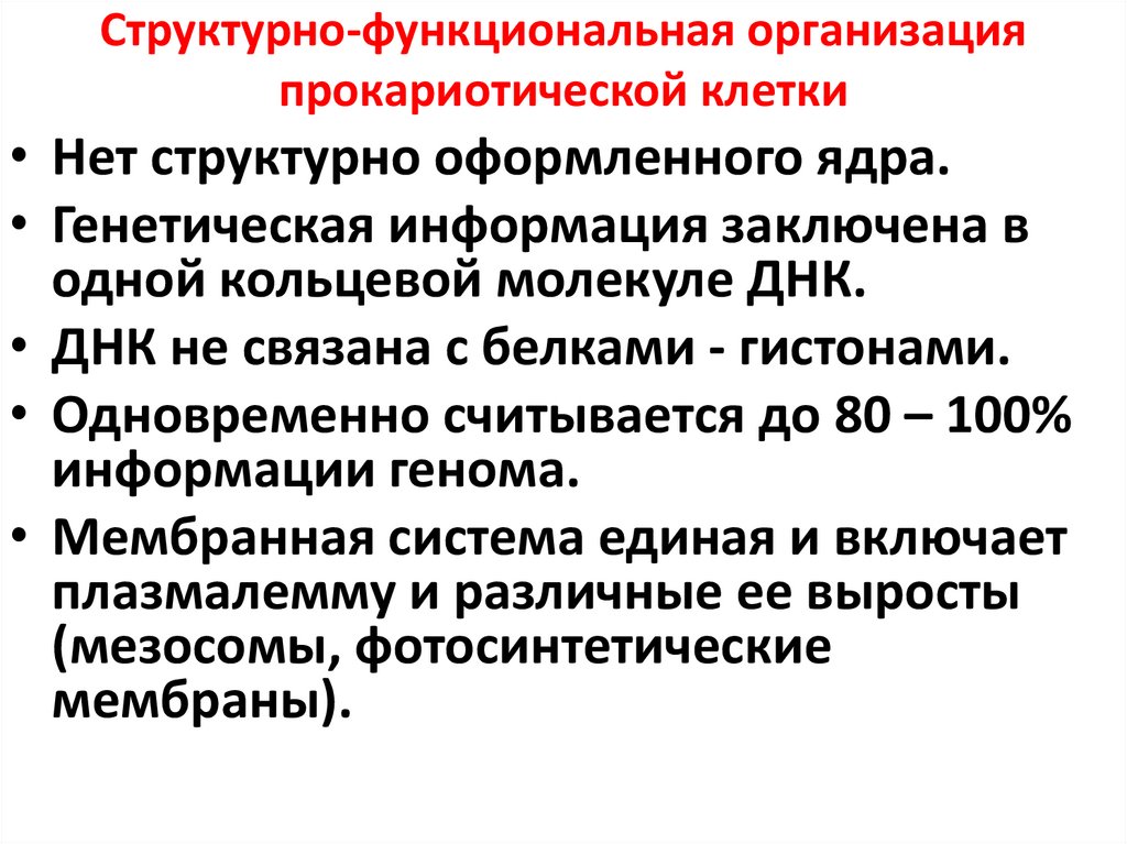 Структурно-функциональная организация прокариотической клетки