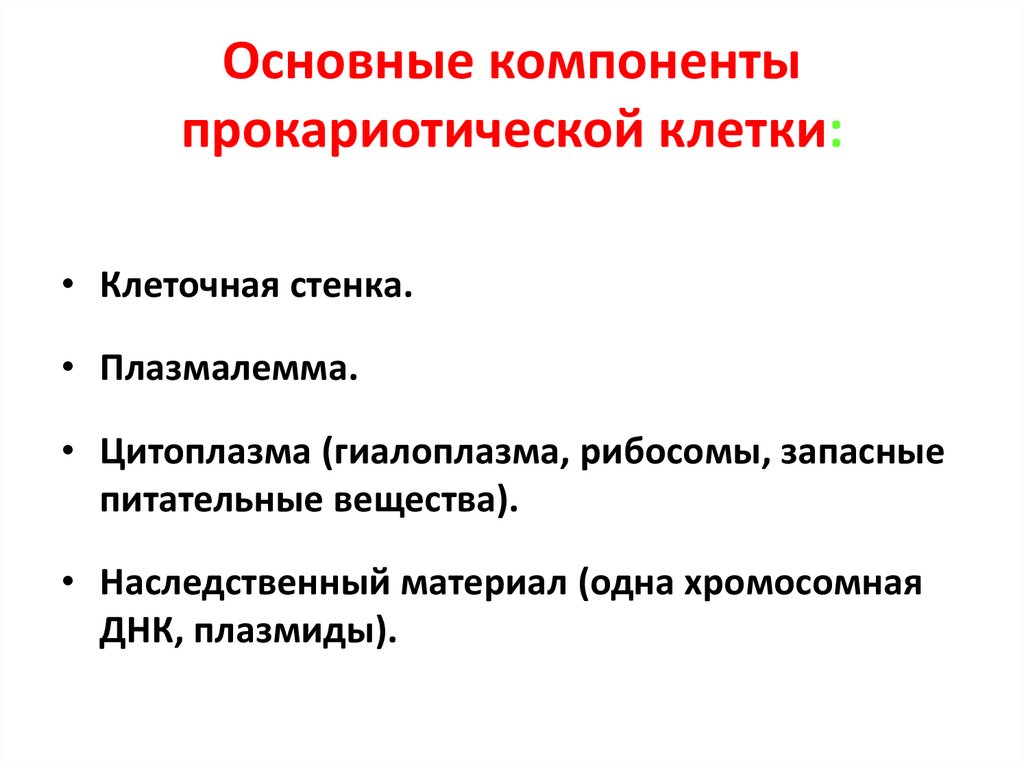 Основные компоненты прокариотической клетки: