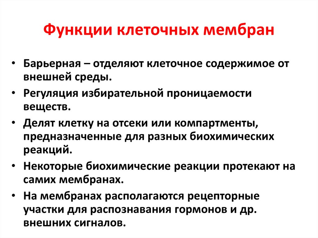 Функции клеточных мембран