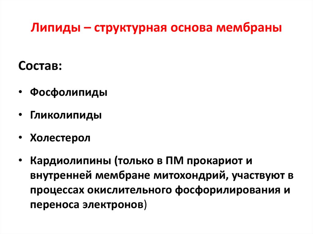 Липиды – структурная основа мембраны
