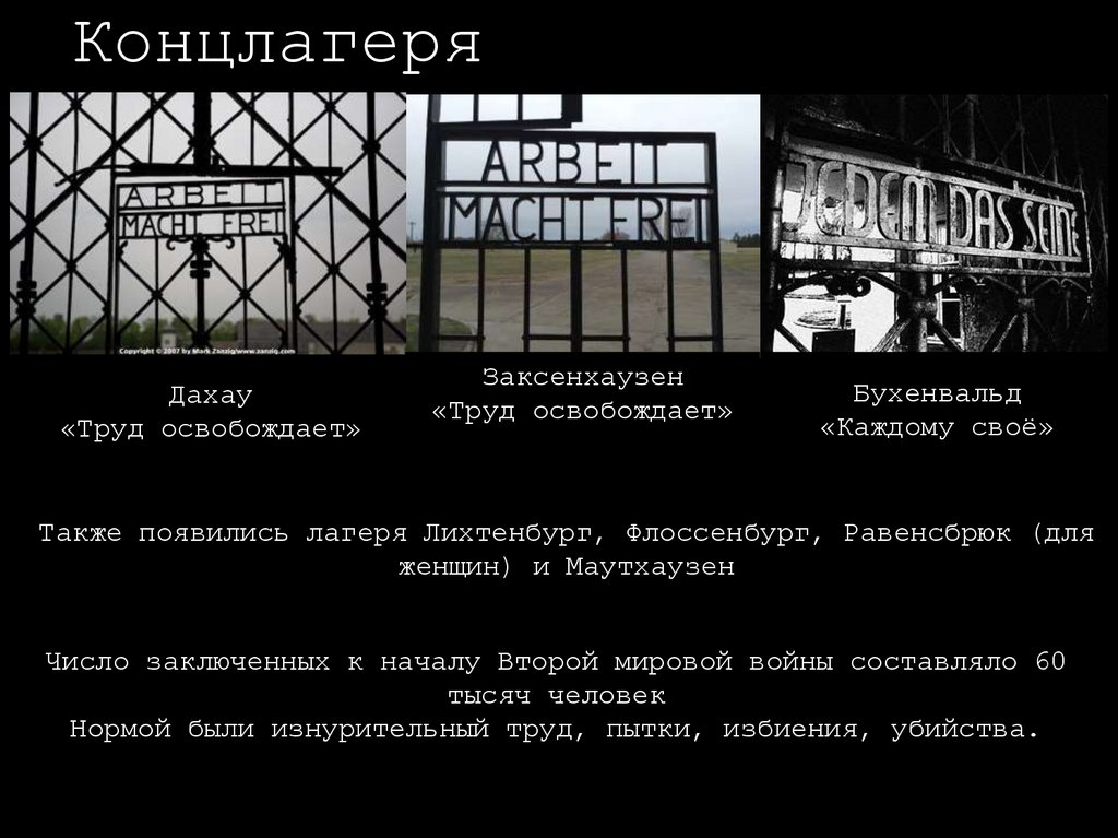 Концлагеря