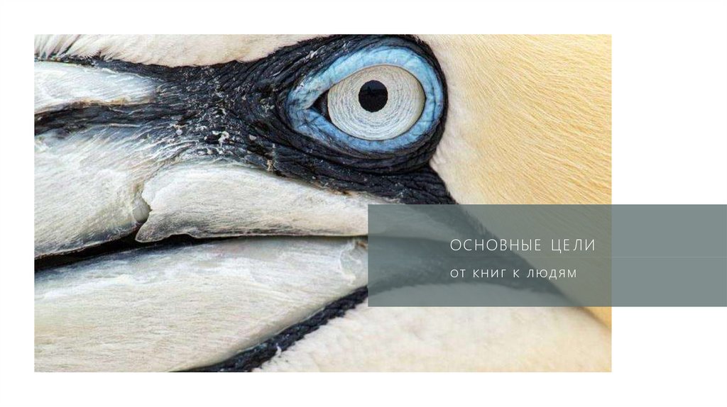 Основные цели