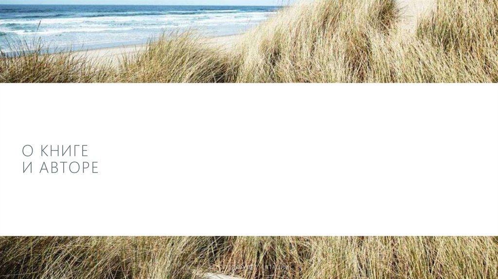 О книге и авторе