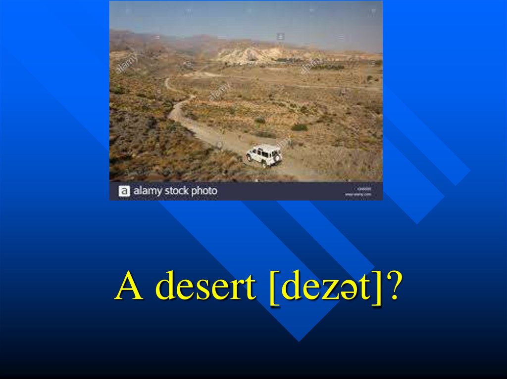 A desert [dezət]?