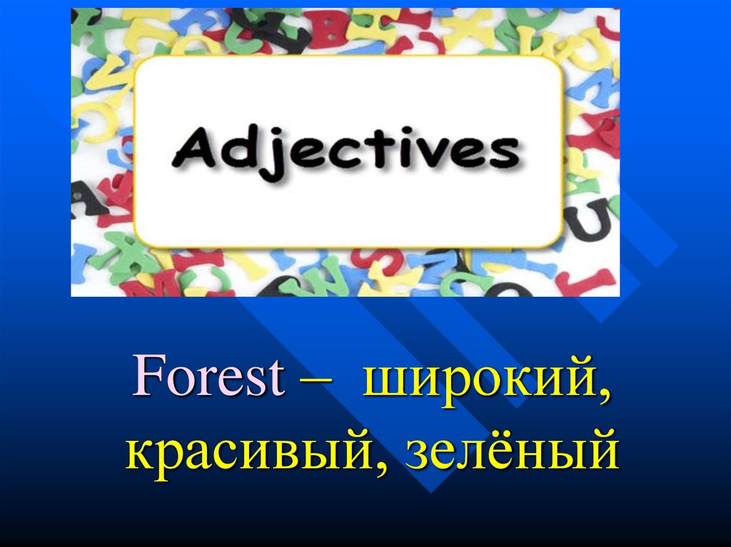 Forest – широкий, красивый, зелёный