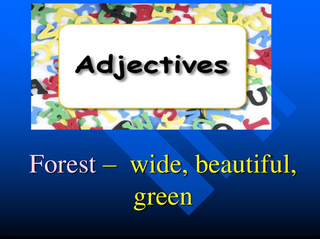 Forest – wide, beautiful, green