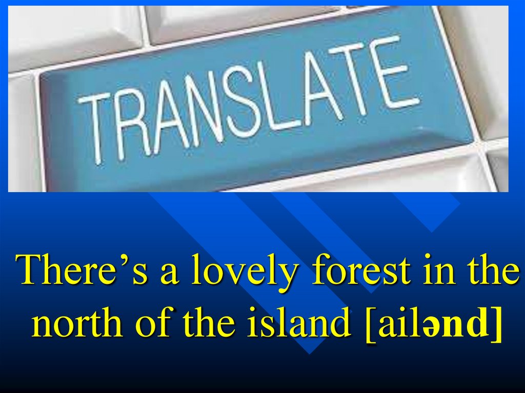 There’s a lovely forest in the north of the island [ailənd]