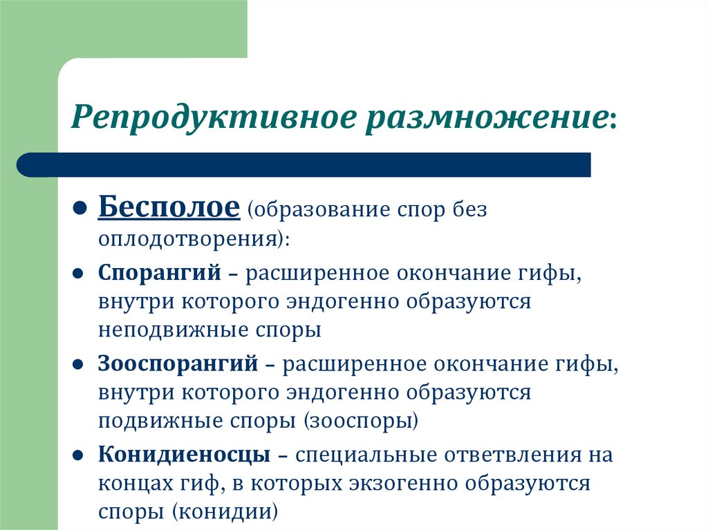 Репродуктивное размножение: