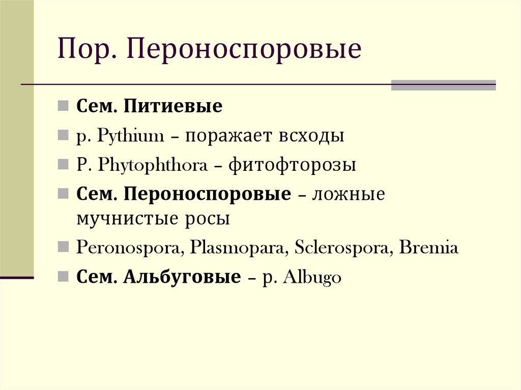 Пор. Пероноспоровые