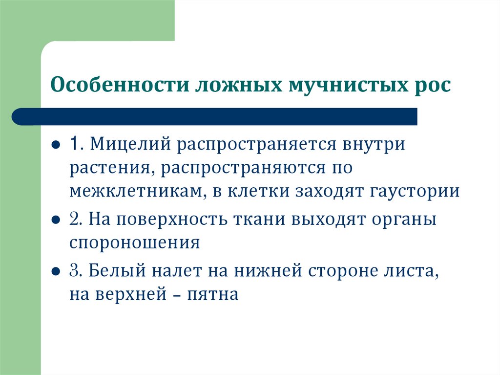 Особенности ложных мучнистых рос