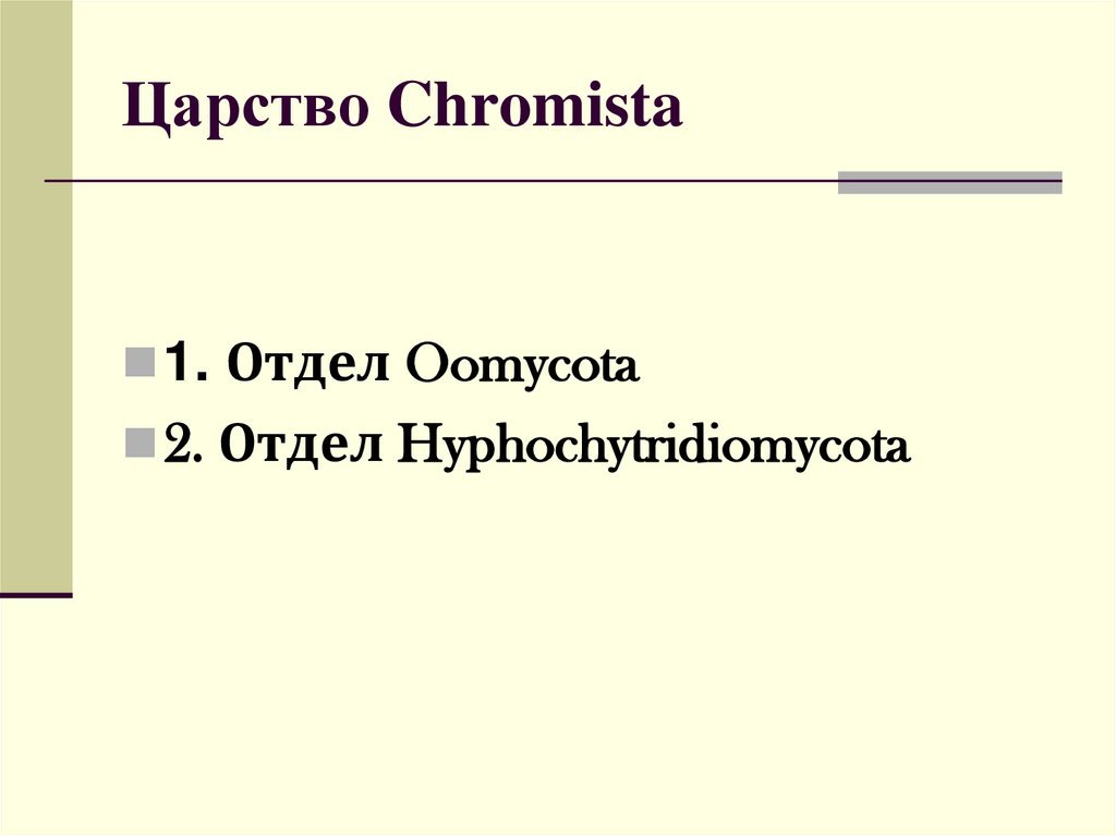 Царство Chromista