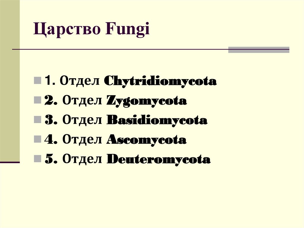Царство Fungi