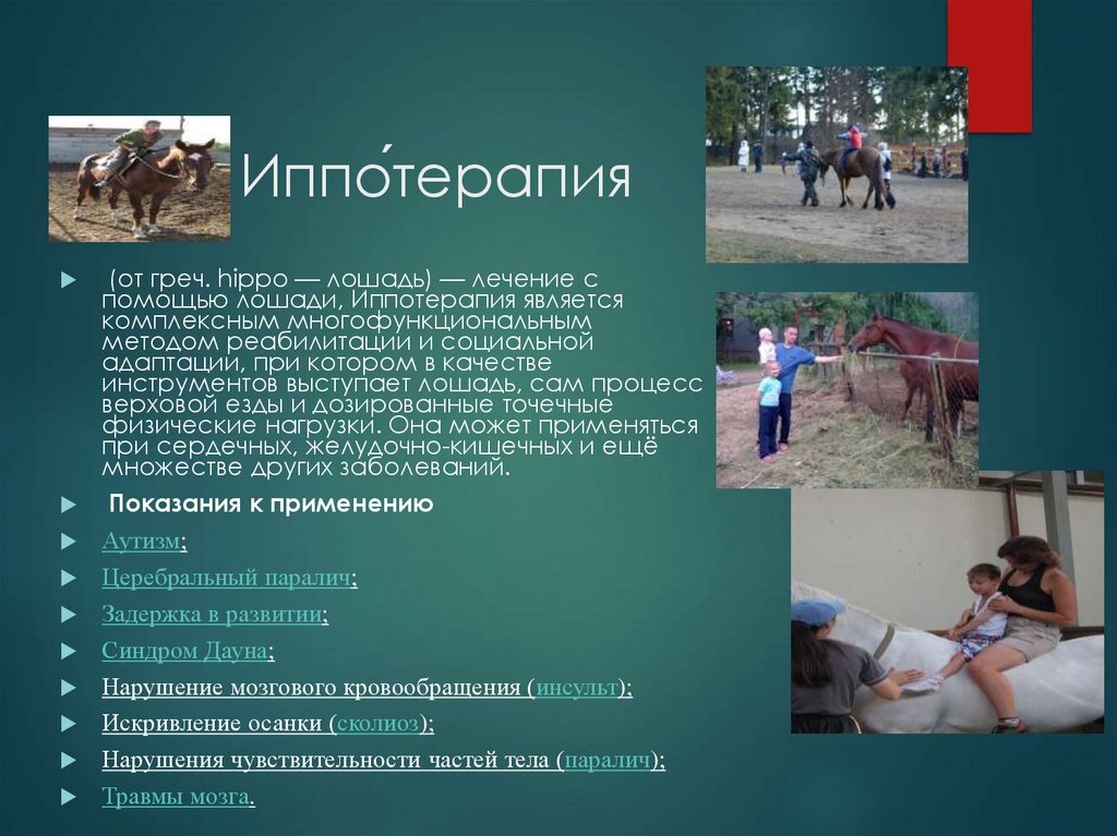 Иппо́терапия