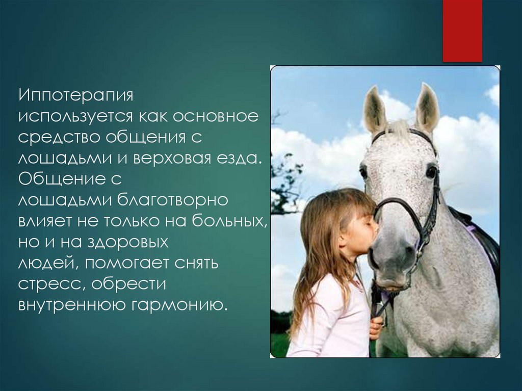 Иппотерапия  используется как основное средство общения с лошадьми и верховая езда. Общение с лошадьми благотворно влияет не