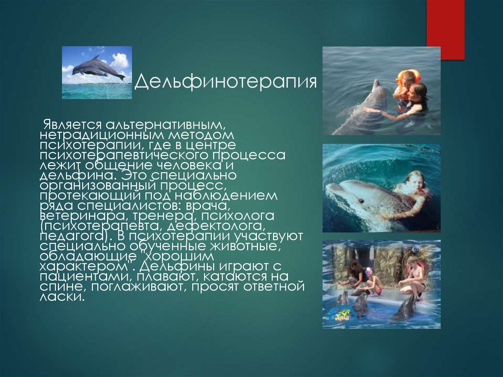 Дельфинотерапия
