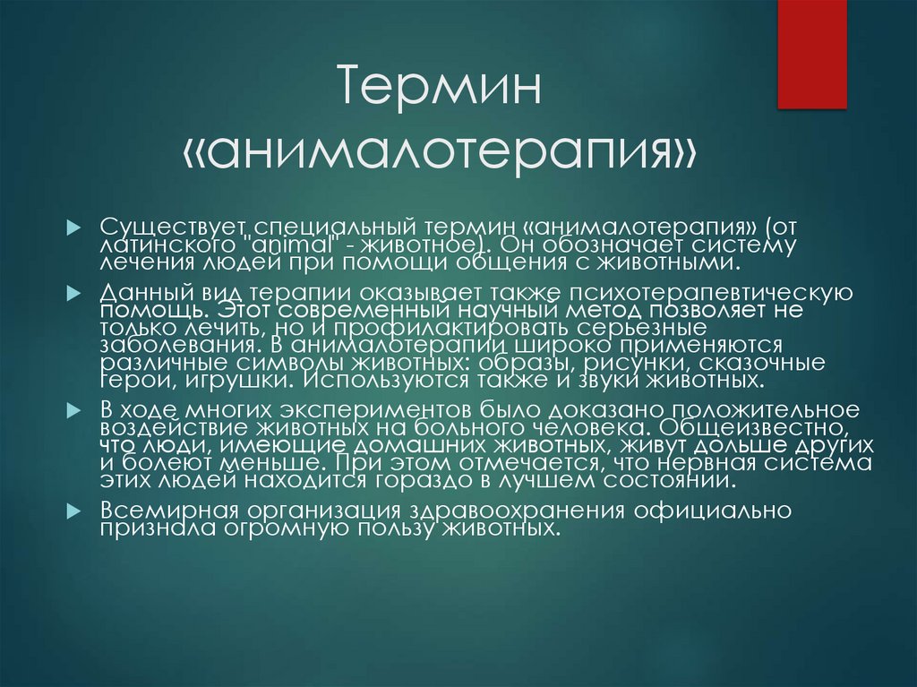 Термин «анималотерапия»