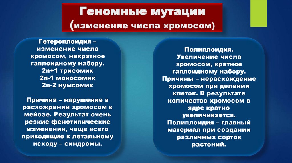 Геномные мутации (изменение числа хромосом)