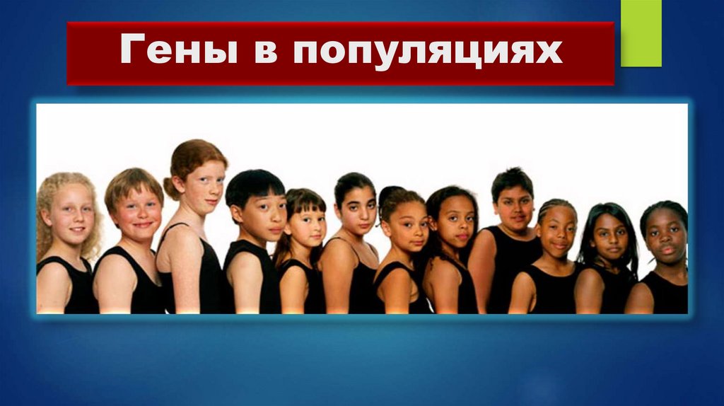 Гены в популяциях