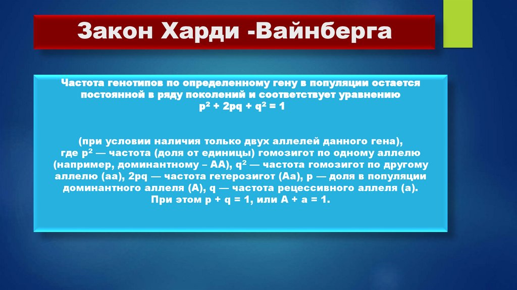 Закон Харди -Вайнберга