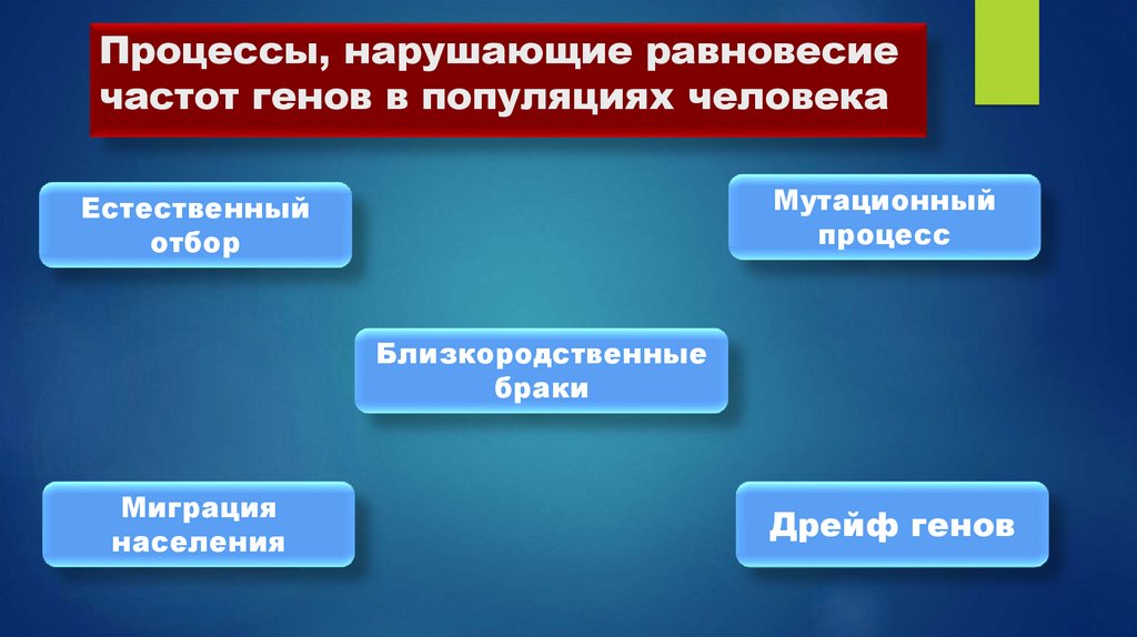 Процессы, нарушающие равновесие частот генов в популяциях человека