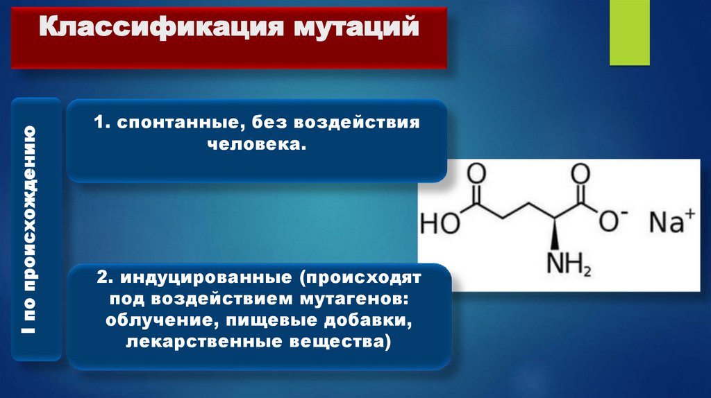 Классификация мутаций
