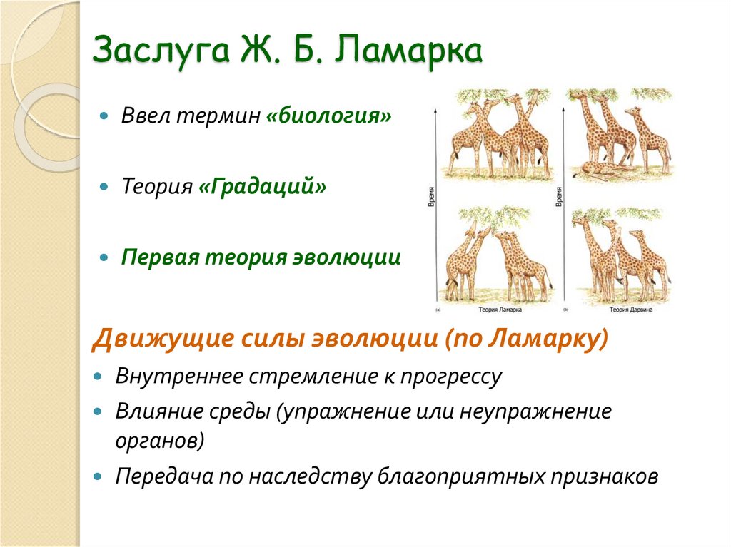 Заслуга Ж. Б. Ламарка
