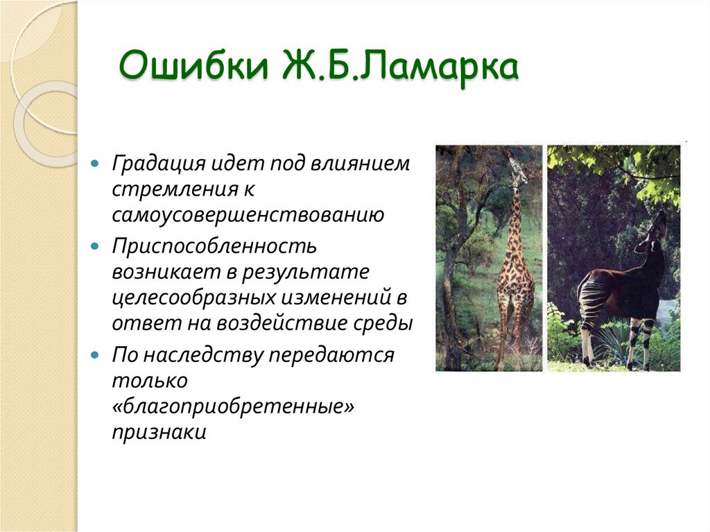 Ошибки Ж.Б.Ламарка