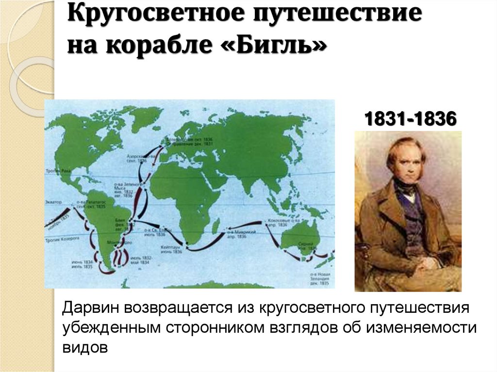 Кругосветное путешествие на корабле «Бигль»