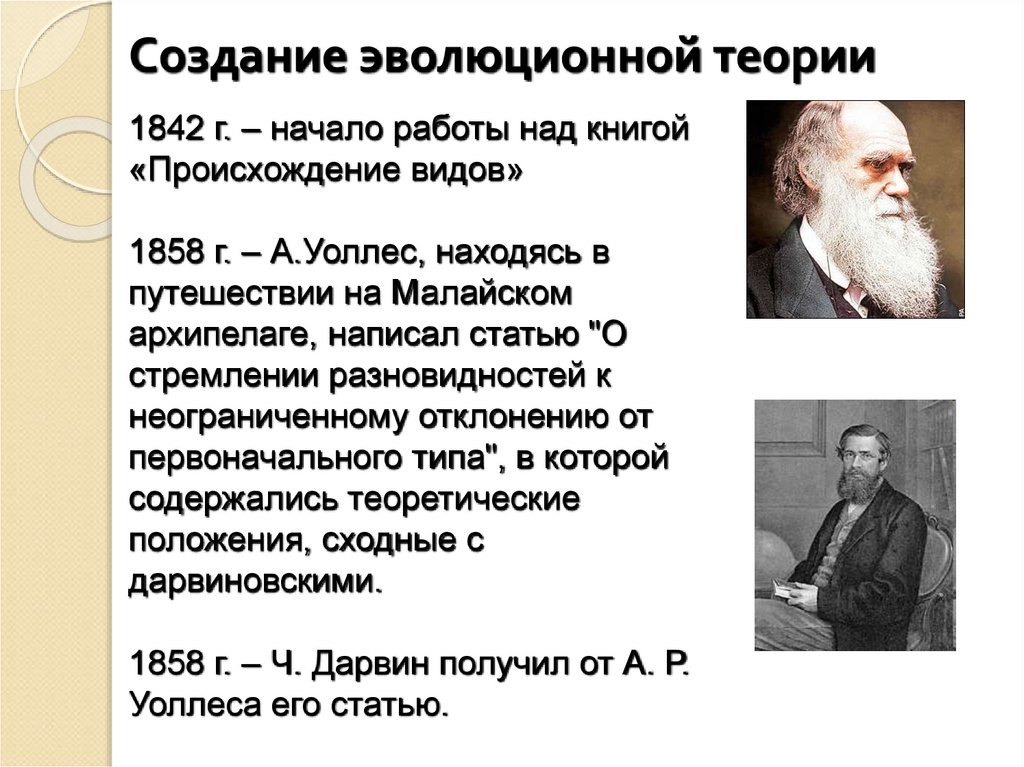 Создание эволюционной теории