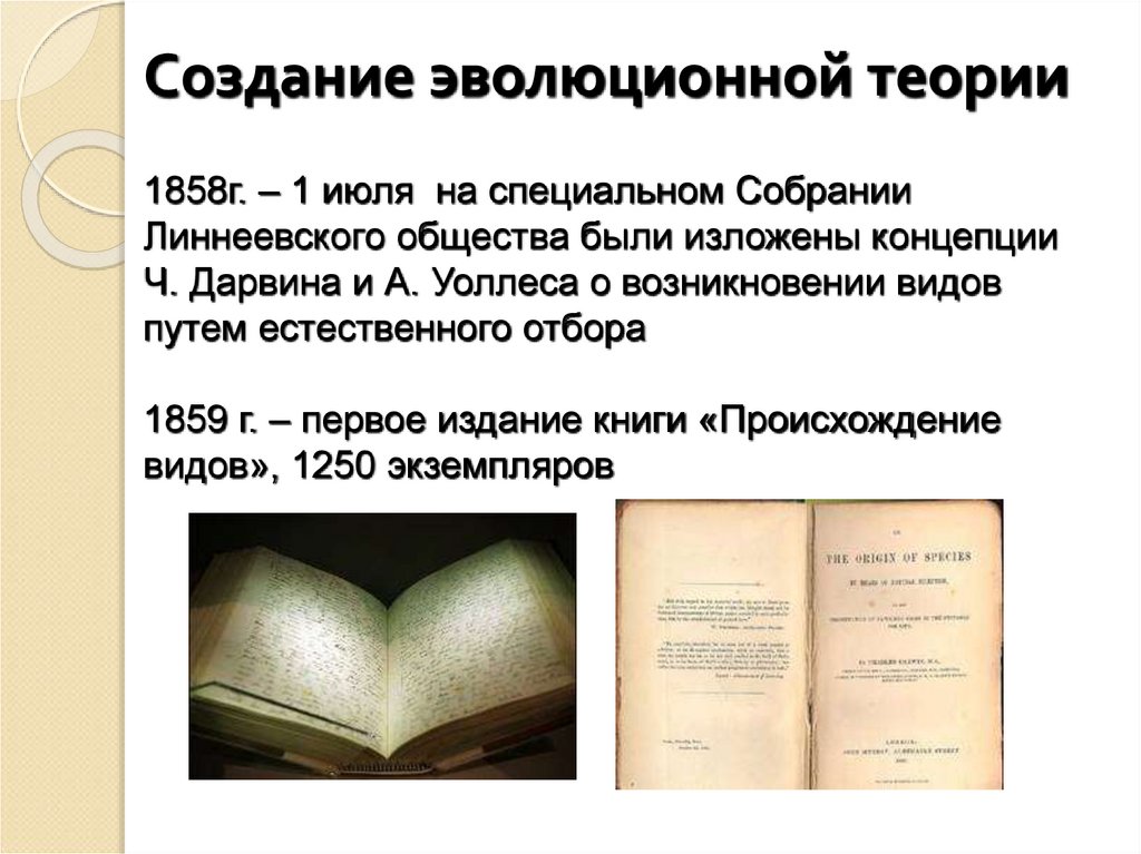 Создание эволюционной теории