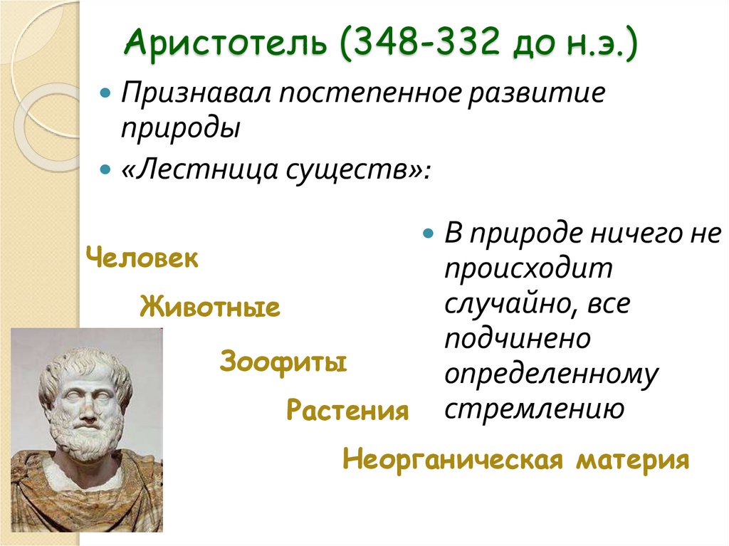 Аристотель (348-332 до н.э.)