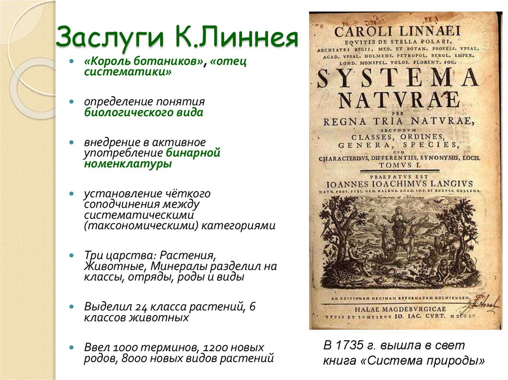 Заслуги К.Линнея
