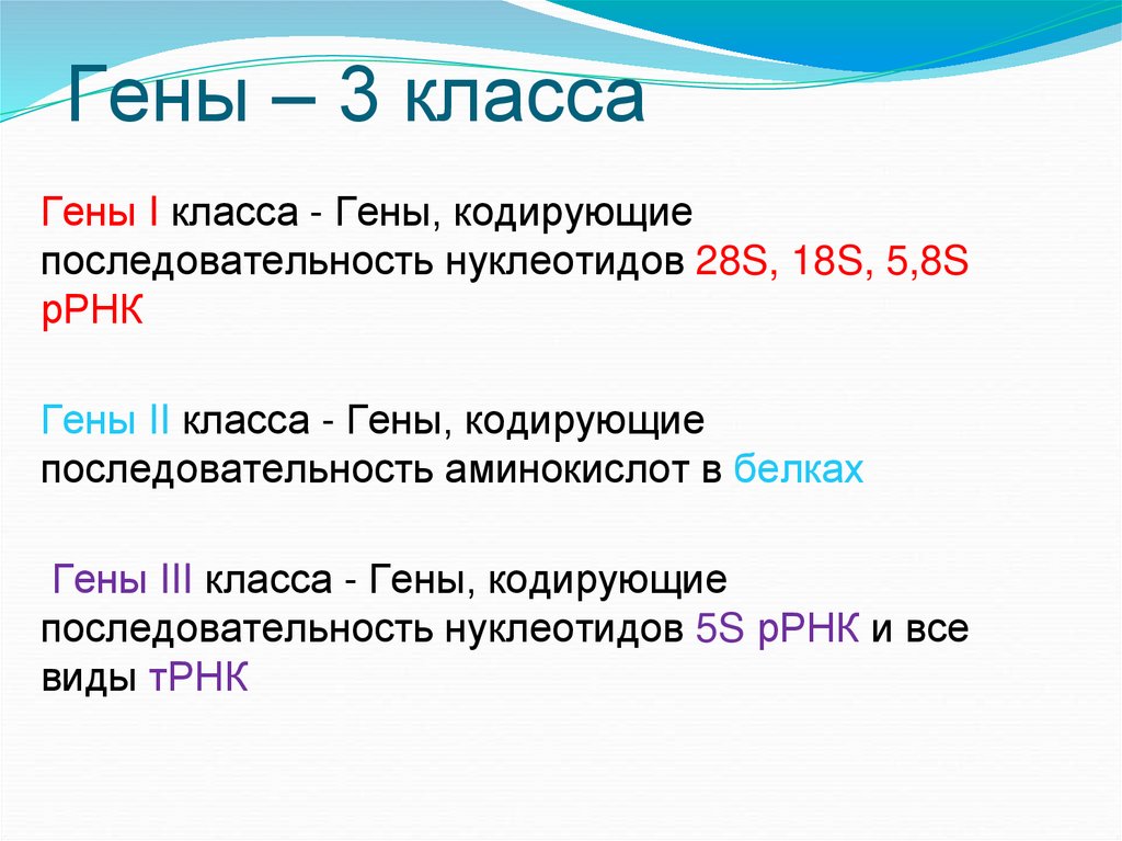 Гены – 3 класса