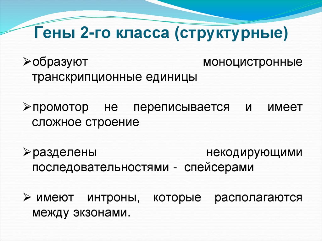 Гены 2-го класса (структурные)