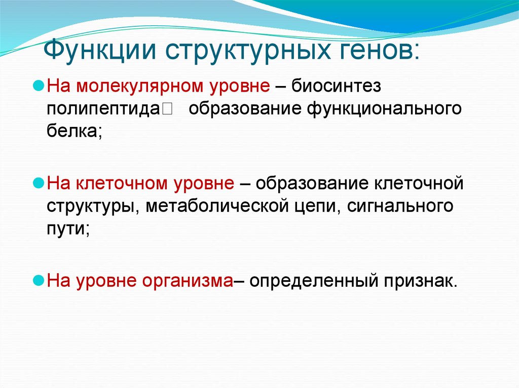 Функции структурных генов: