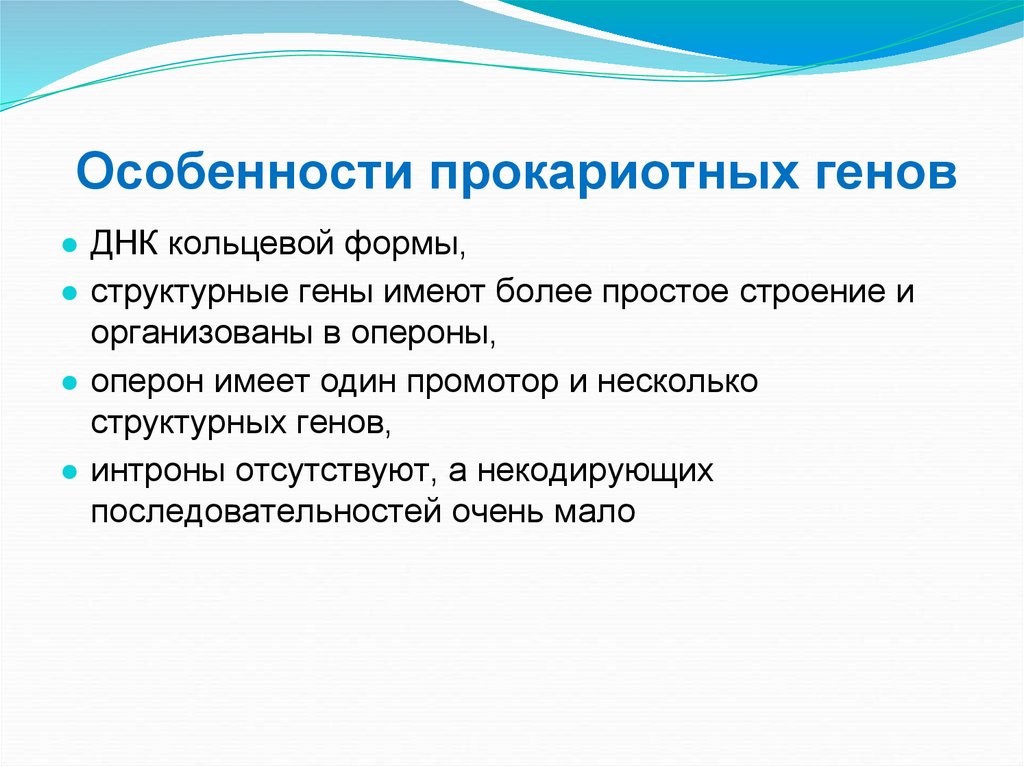 Особенности прокариотных генов