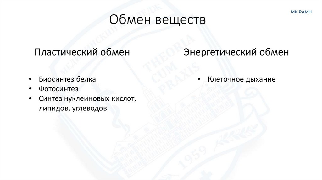 Обмен веществ