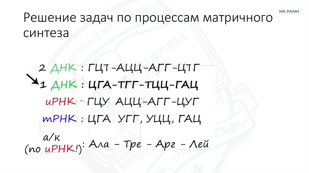 Решение задач по процессам матричного синтеза
