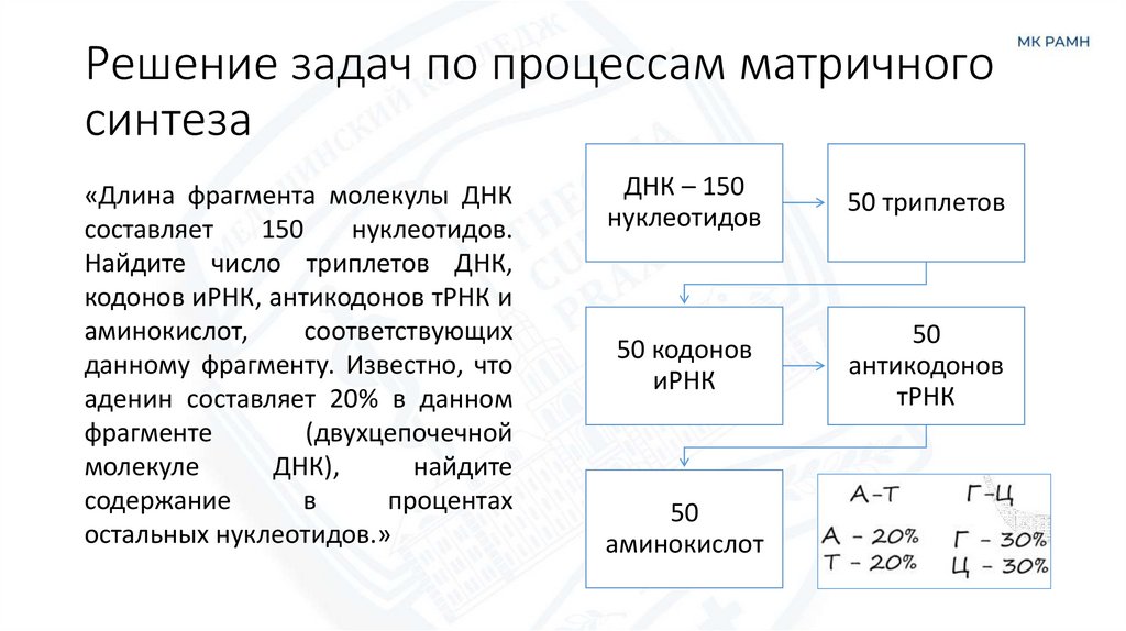 Решение задач по процессам матричного синтеза