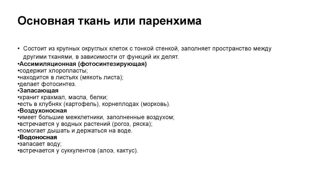 Основная ткань или паренхима