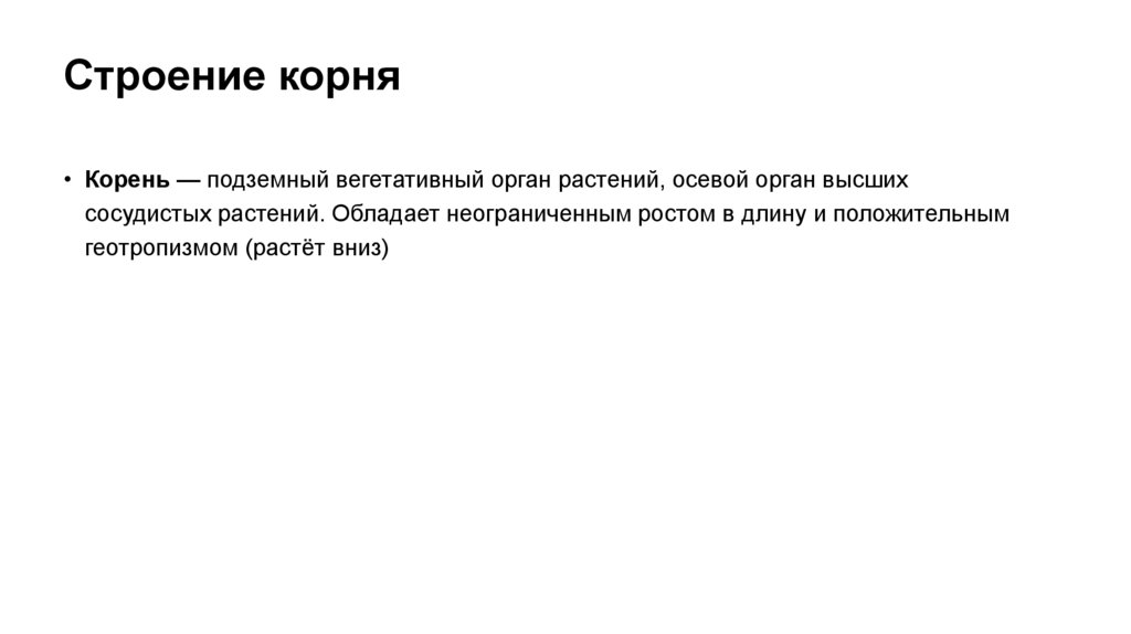 Строение корня