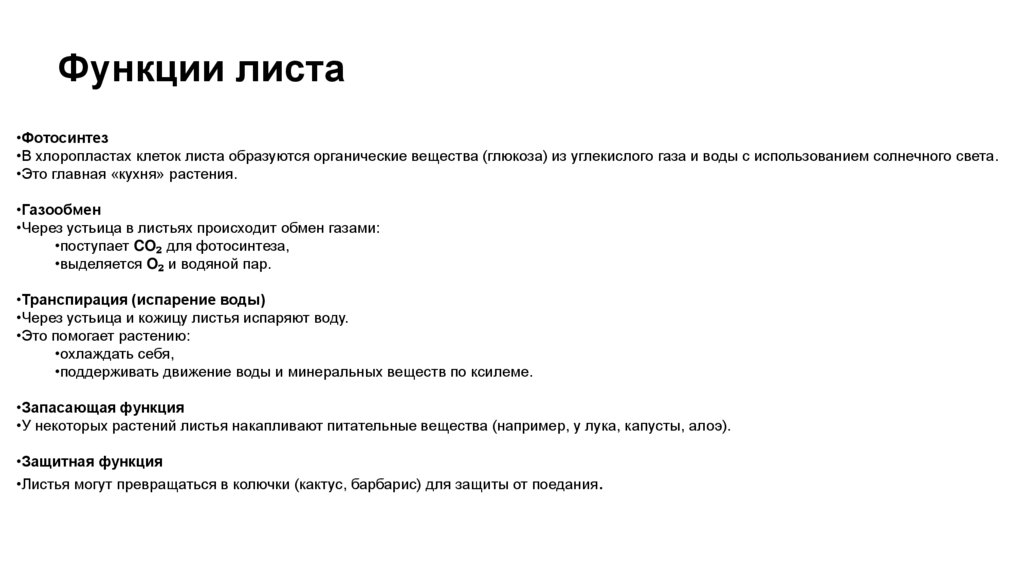 Функции листа