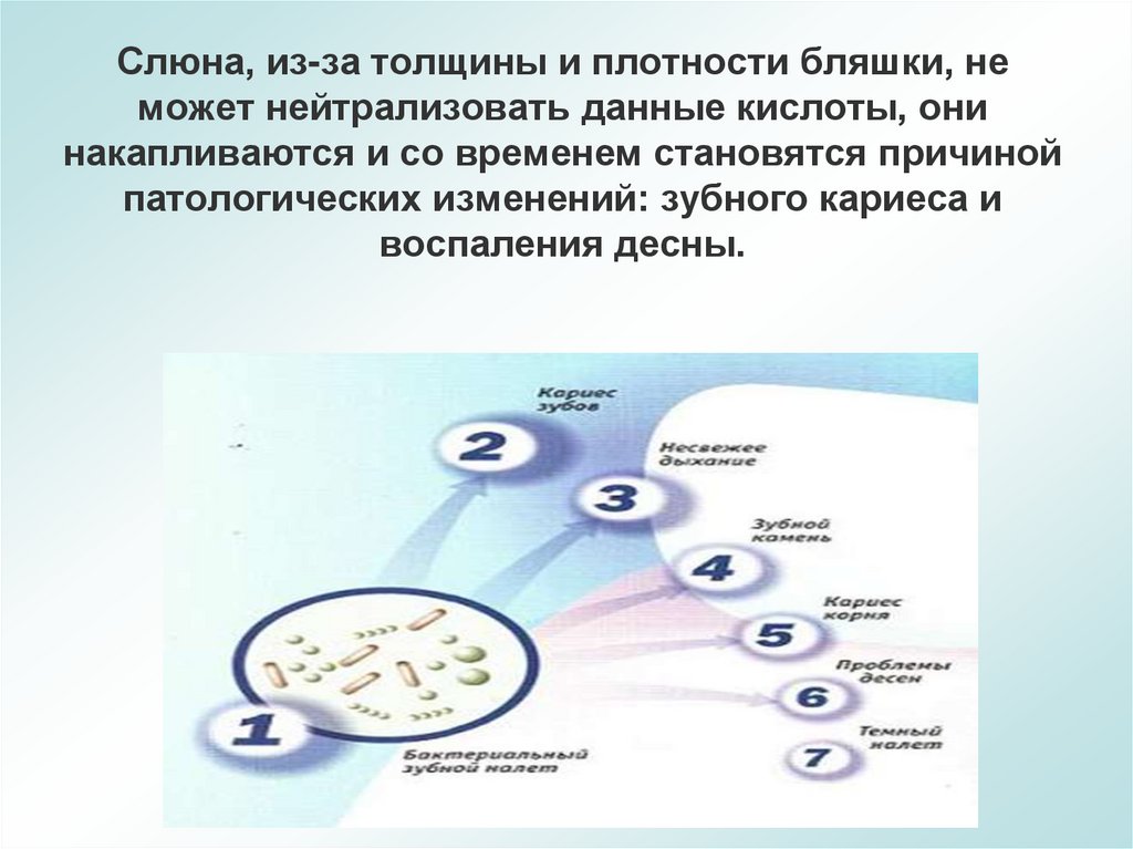Слюна, из-за толщины и плотности бляшки, не может нейтрализовать данные кислоты, они накапливаются и со временем становятся