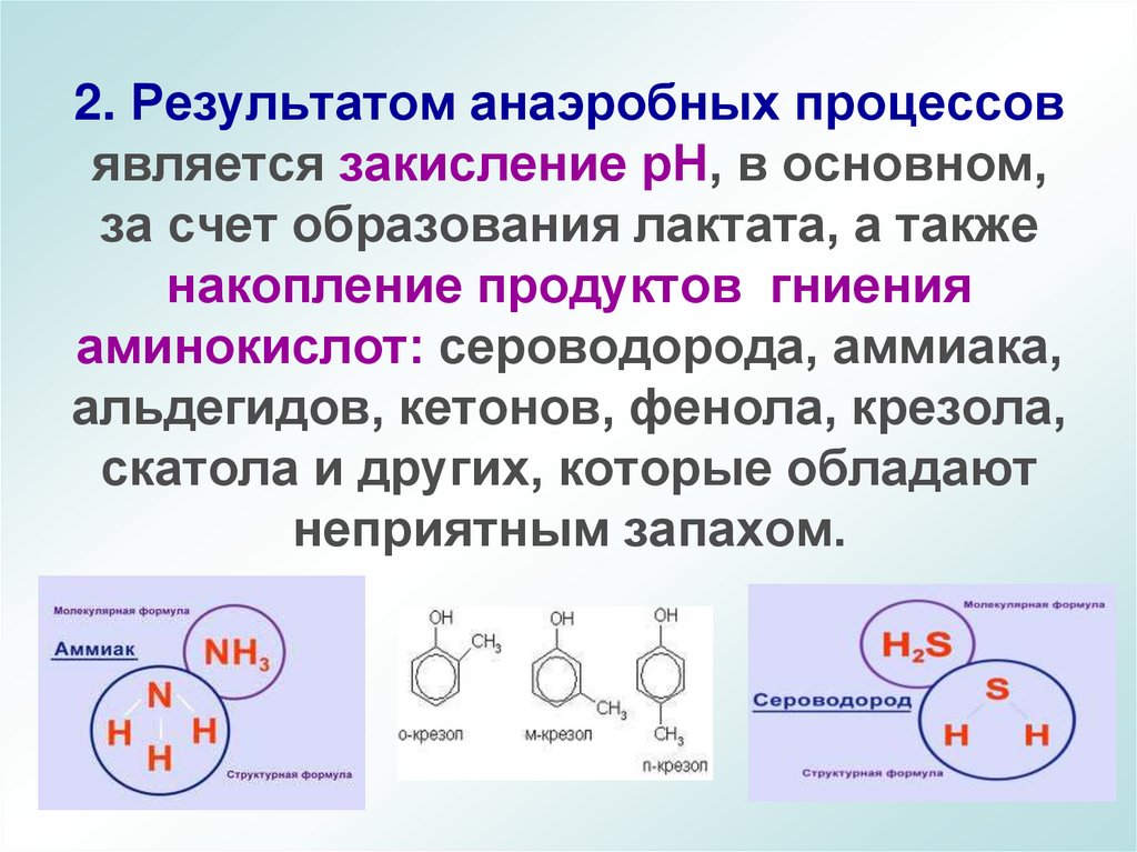 2. Результатом анаэробных процессов является закисление рН, в основном, за счет образования лактата, а также накопление