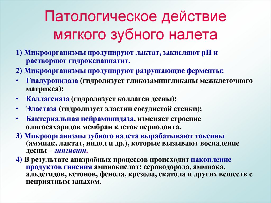 Патологическое действие мягкого зубного налета